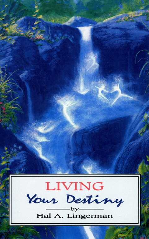 Cover image for book Living Your Destiny