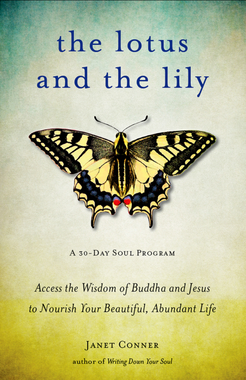 Cover image for book The Lotus and the Lily