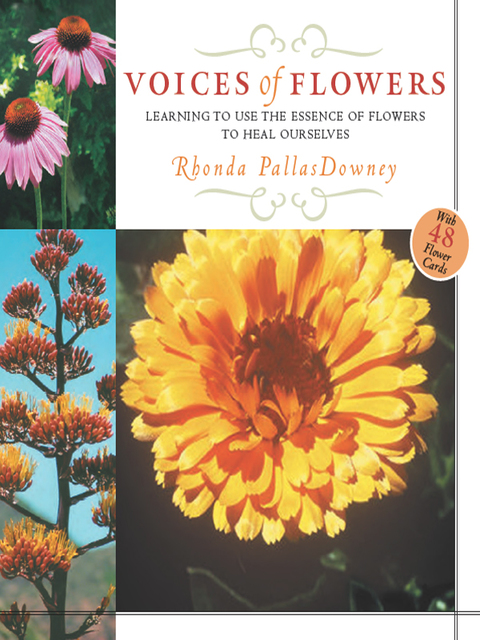 Cover image for book Voices of Flowers