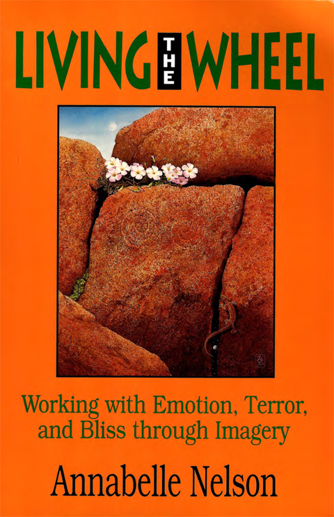 Cover image for book Living the Wheel