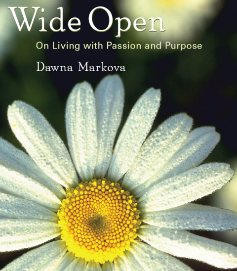 Cover image for book Wide Open