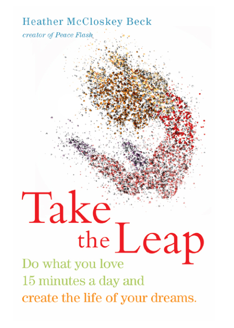 Cover image for book Take the Leap