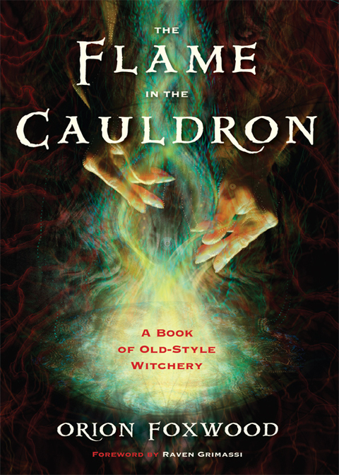 Cover image for book The Flame in the Cauldron