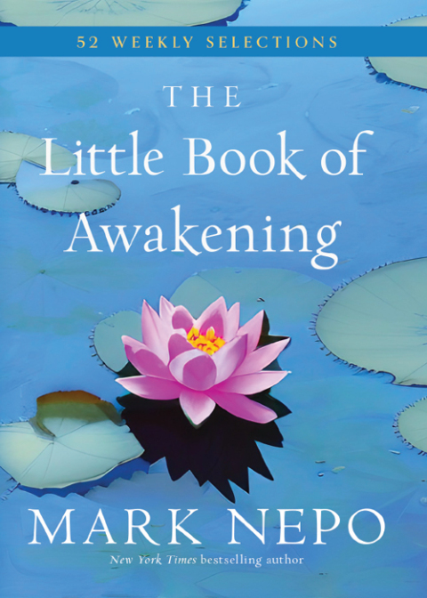 Cover image for book The Little Book of Awakening