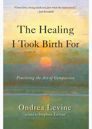 The Healing I Took Birth For
