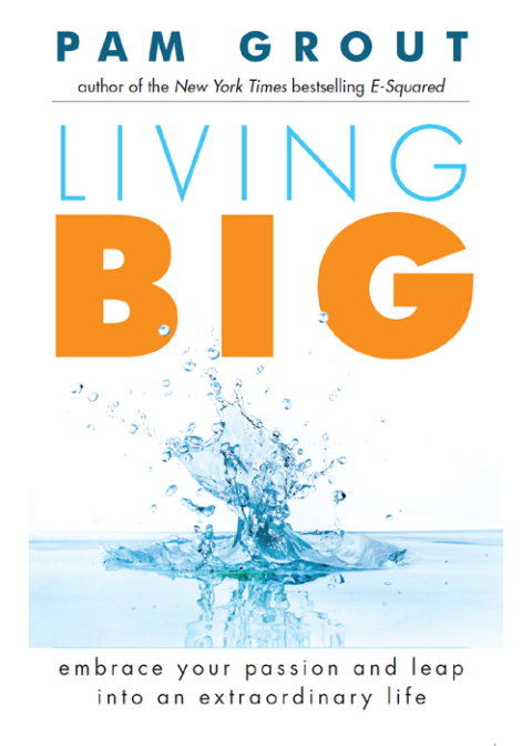 Cover image for book Living Big