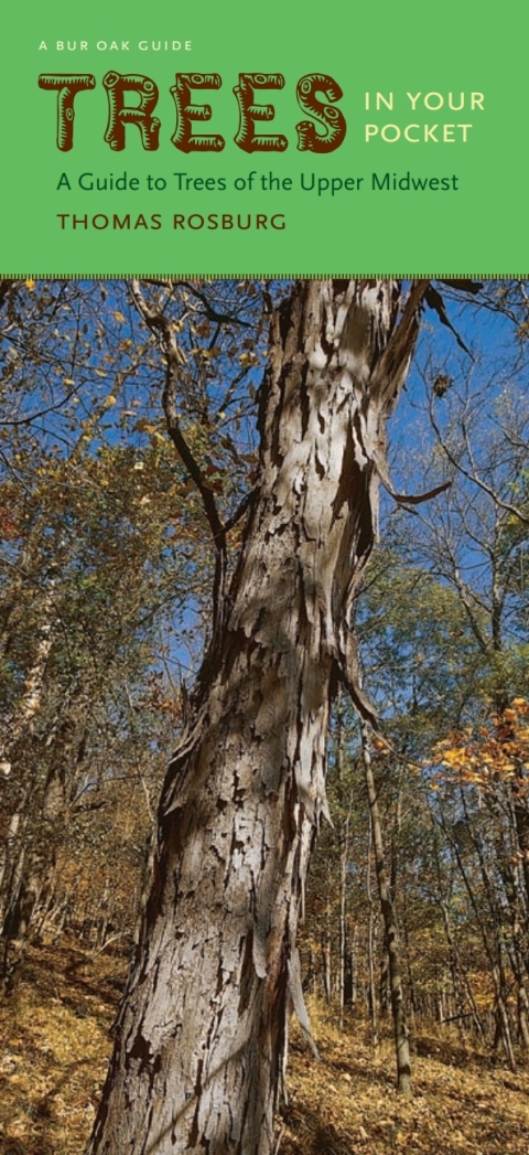 Cover image for book Trees in Your Pocket