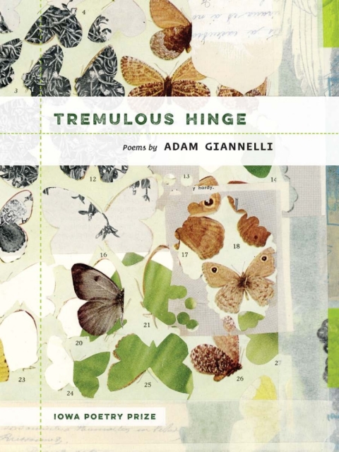 Cover image for book Tremulous Hinge