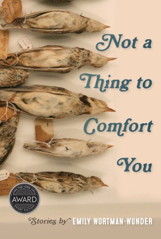 Not a Thing to Comfort You