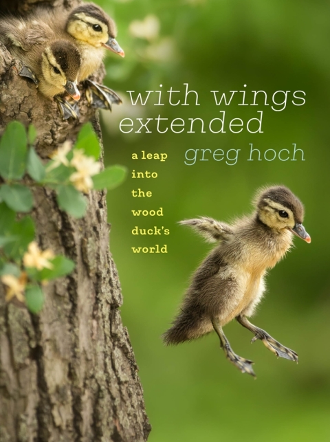Cover image for book With Wings Extended