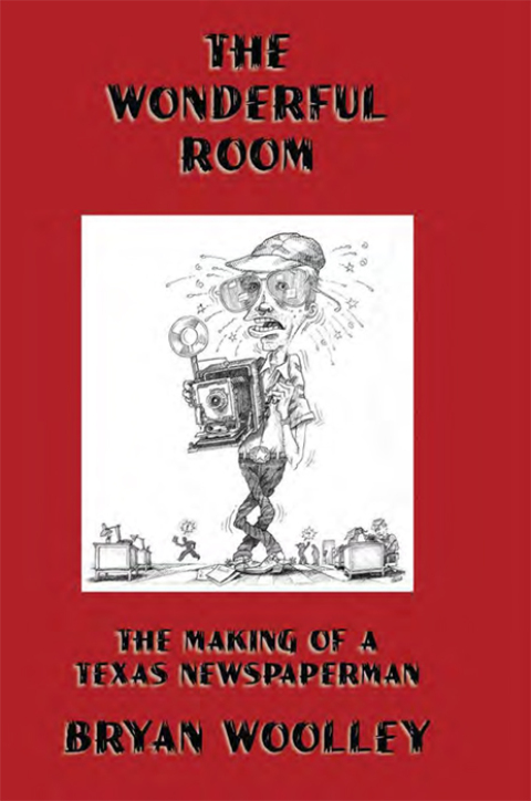Cover image for book The Wonderful Room