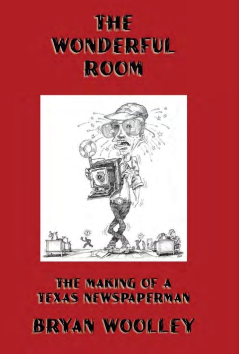 Cover image for book The Wonderful Room