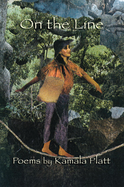Cover image for book On the Line