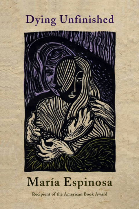 Cover image for book Dying Unfinished