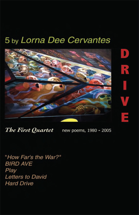 Cover image for book Drive
