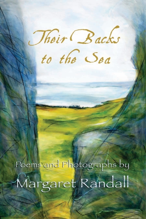 Cover image for book Their Backs to the Sea