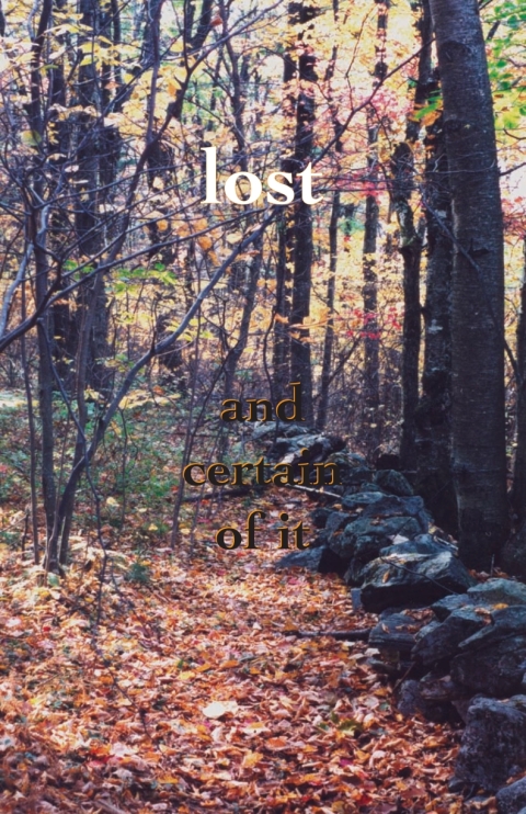 Cover image for book Lost and Certain of It