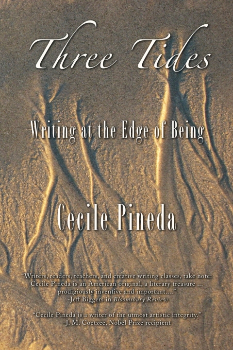 Cover image for book Three Tides