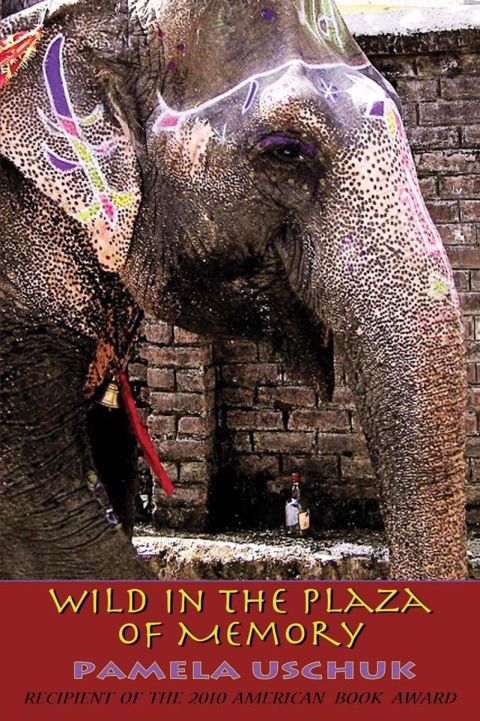 Cover image for book Wild in the Plaza of Memory