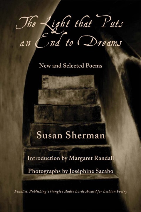 Cover image for book The Light That Puts an End to Dreams