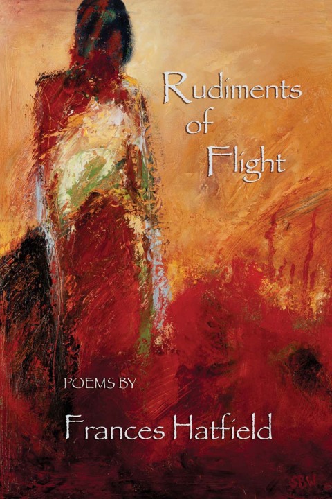 Cover image for book Rudiments of Flight