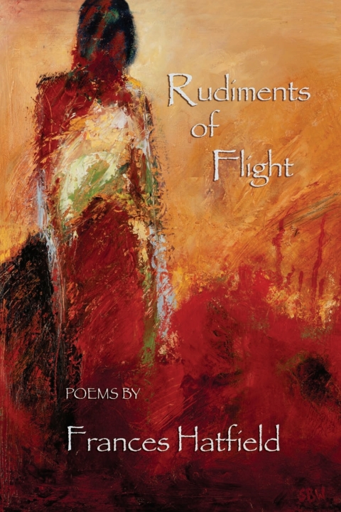 Cover image for book Rudiments of Flight