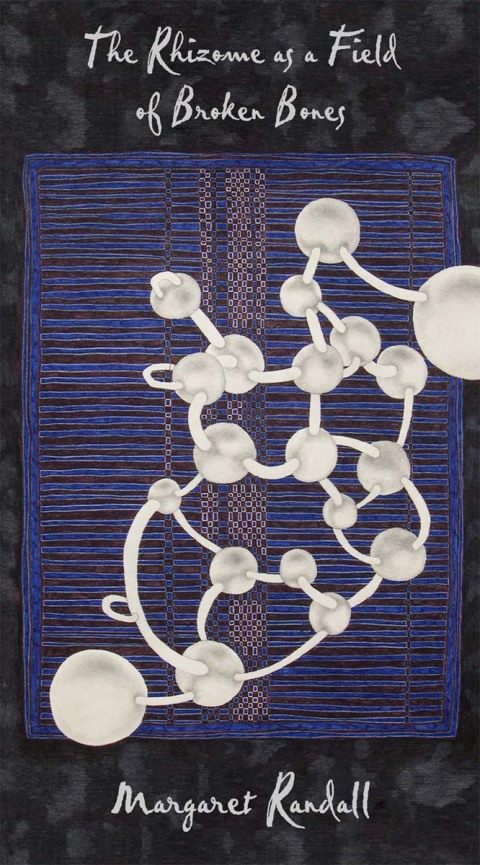 Cover image for book The Rhizome as a Field of Broken Bones