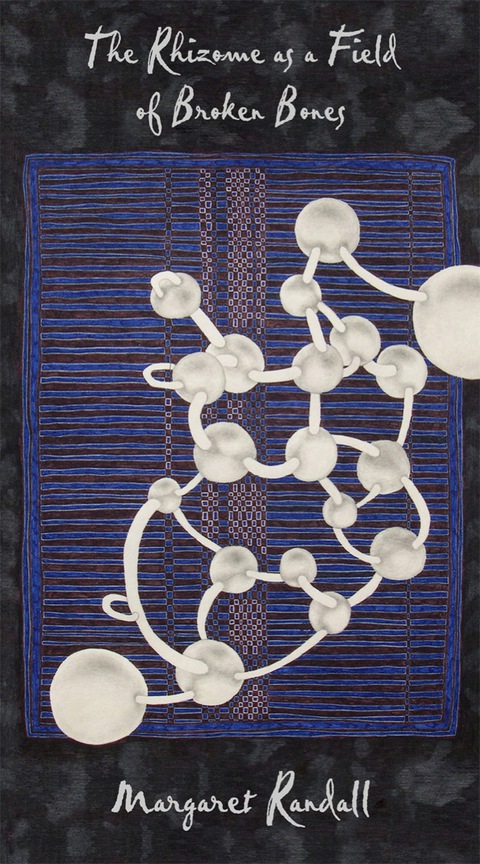Cover image for book The Rhizome as a Field of Broken Bones