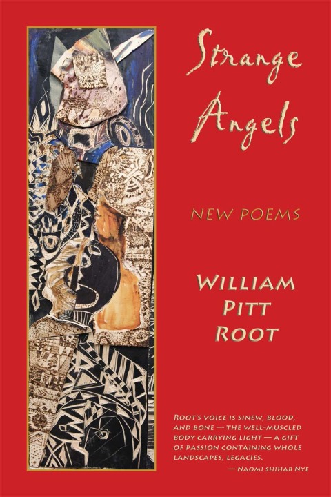 Cover image for book Strange Angels