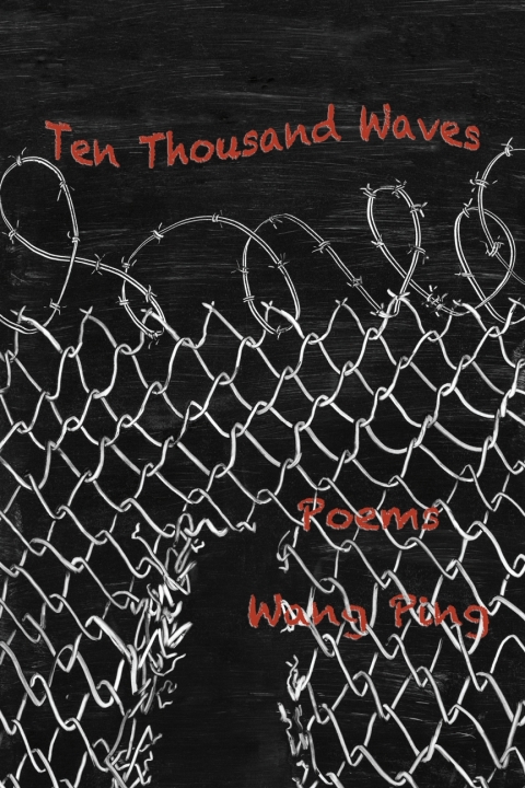 Cover image for book Ten Thousand Waves