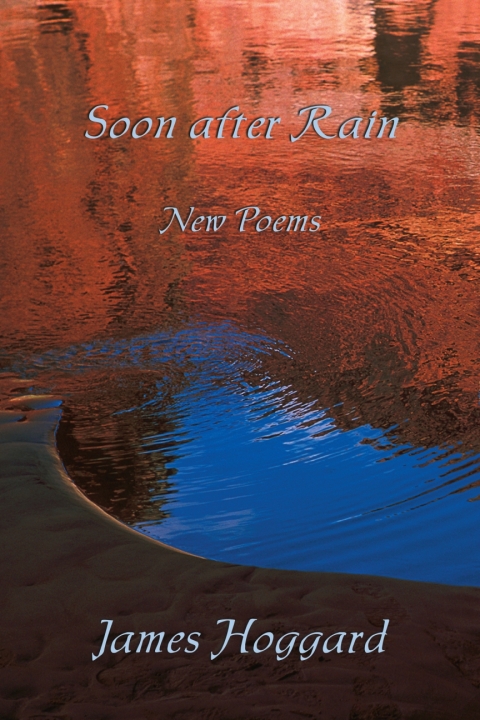 Cover image for book Soon After Rain