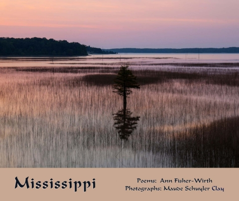 Cover image for book Mississippi