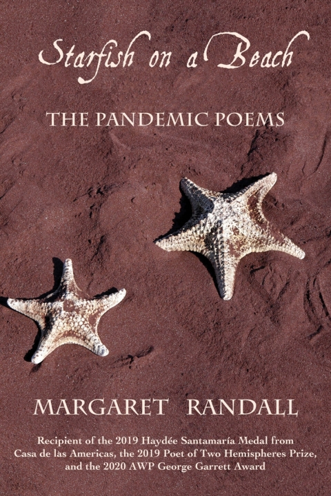 Cover image for book Starfish on a Beach