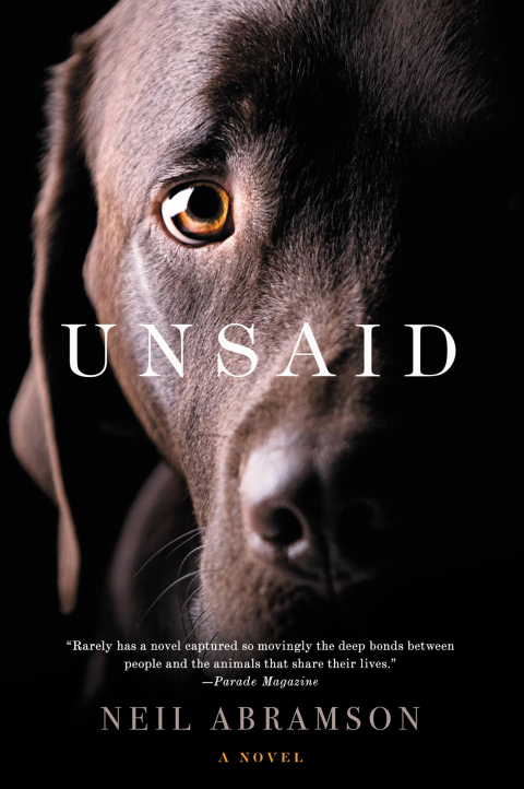 Cover image for book Unsaid