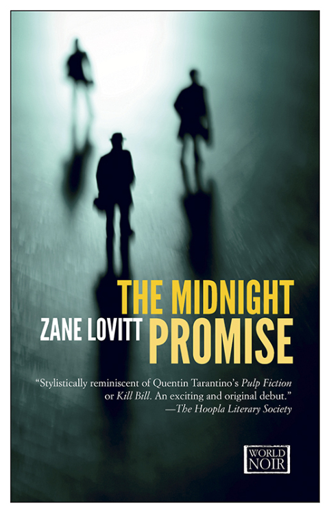 Cover image for book The Midnight Promise