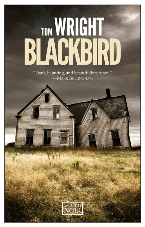 Cover image for book Blackbird