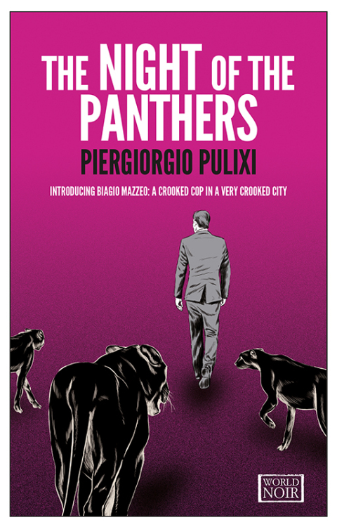 Cover image for book The Night of the Panthers