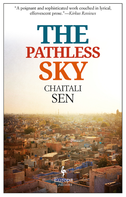 Cover image for book The Pathless Sky