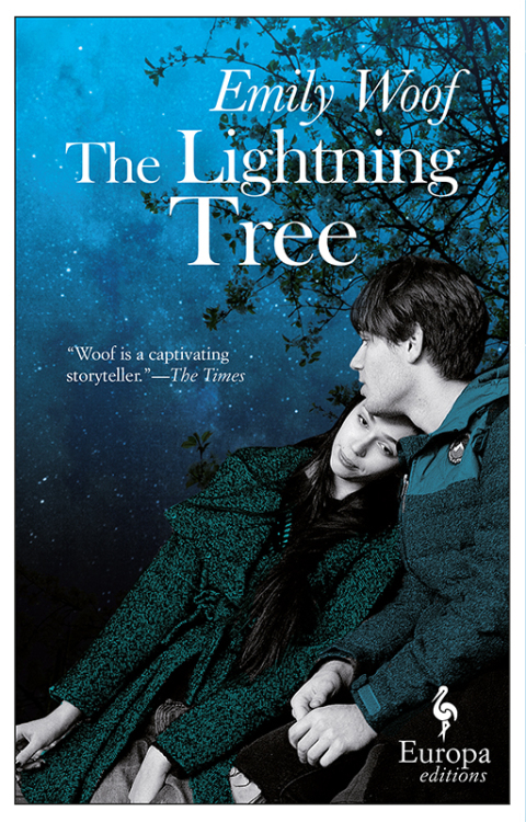 Cover image for book The Lightning Tree