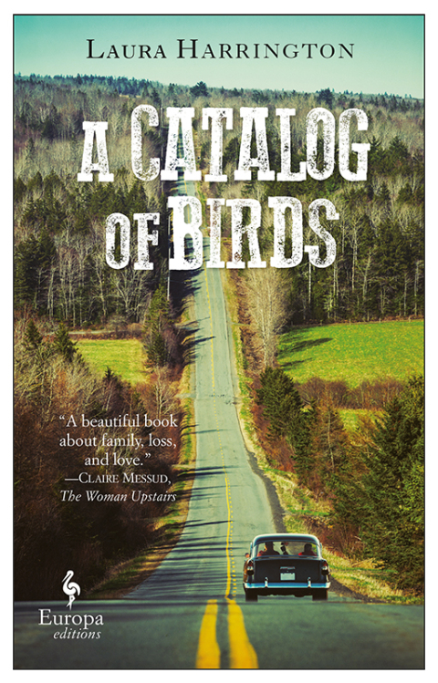 Cover image for book A Catalog of Birds