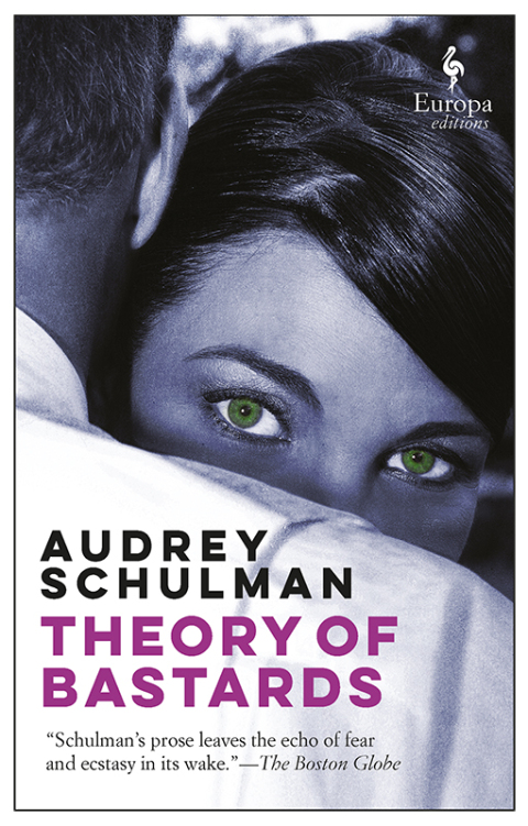 Cover image for book Theory of Bastards