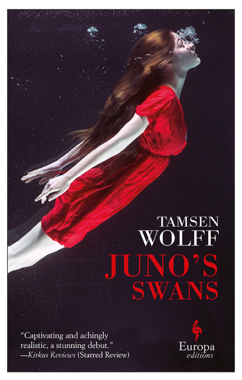 Cover image for book Juno's Swans