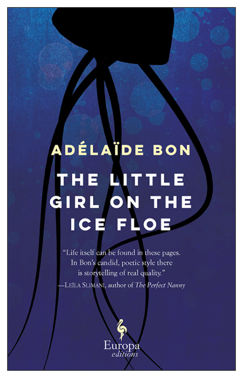 Cover image for book The Little Girl on the Ice Floe