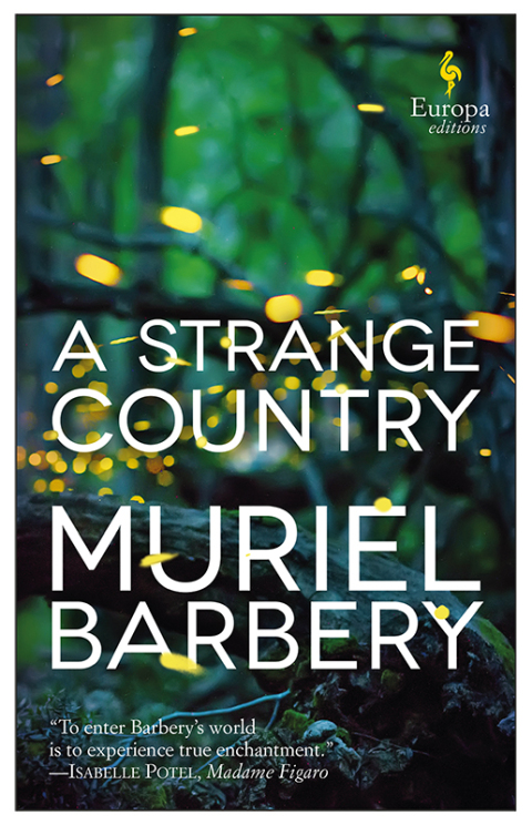 Cover image for book A Strange Country