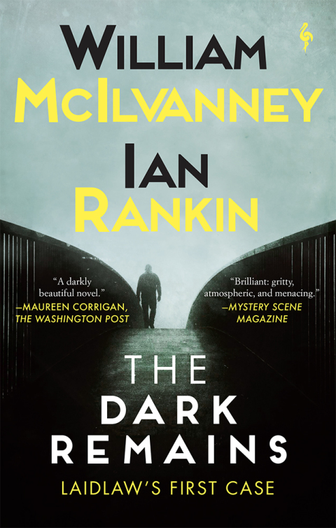 Cover image for book The Dark Remains
