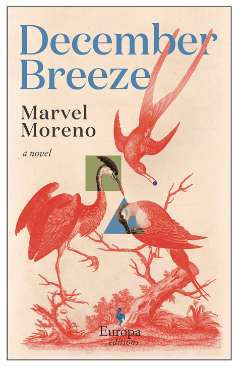 Cover image for book December Breeze