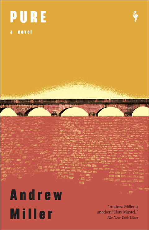 Cover image for book Pure