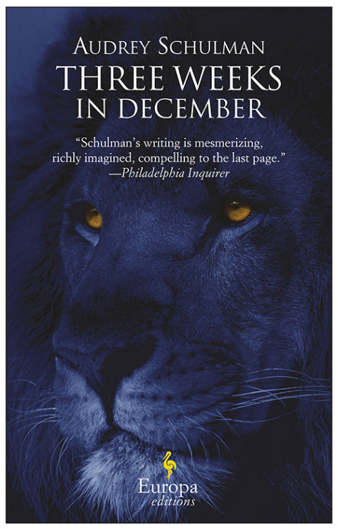 Cover image for book Three Weeks in December