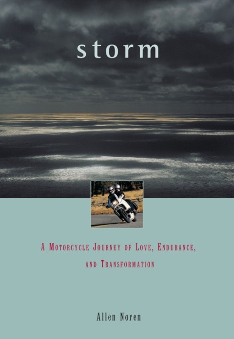 Cover image for book Storm