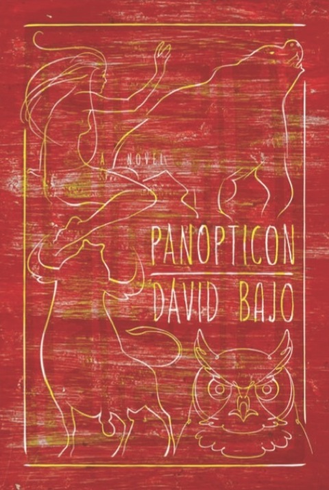 Cover image for book Panopticon